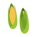 Flat organic corns isolated