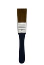 Flat paint brush isolated