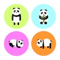 Flat Panda Illustration, Panda Icon Collection, Panda with circle background for web icons