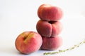 Flat peaches isolated on white background with dougnut peach branch in foreground Royalty Free Stock Photo