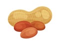 Flat Peanuts Illustration