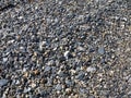 Flat pebbles, rocks, sticks, twigs and stones