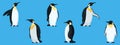 Flat penguins on a blue background collection