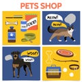 Flat Pet Shop Square Concept