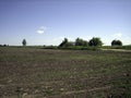 A flat plowed field with fertile soil-chernozem. In the distance, individual trees are visible on the horizon Royalty Free Stock Photo