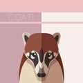 Flat postcard with Coati