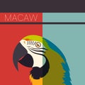 Flat postcard with Macaw Royalty Free Stock Photo