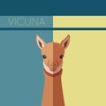 Flat postcard with Vicuna