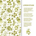 Flat poster or banner template with legume plants