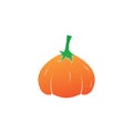 Flat pumkin design logo illustrations vector template Royalty Free Stock Photo