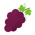 Cute Grapes Icon Vector Fruit Clip art Illustration Image Design