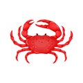 Flat red crab isolated on white background - vector illustration. Sea water animal icon with claws. Seafood product Royalty Free Stock Photo