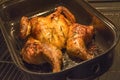 Flat roasted whole chicken