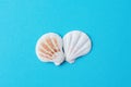 Flat Round Striped Seashells on Vibrant Blue Background. Minimalist Modern Styled Image. Funky Trendy Colors