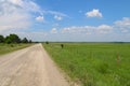 A flat rural marshland scene with a dirt road and bright blue sky overcast above perfect for seasonal marketing as well as cards