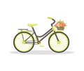 Flat rustic bicycle with flowers Royalty Free Stock Photo