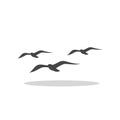 Flat Seagull Birds in Sky icon with shadow Royalty Free Stock Photo