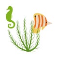 Flat Seahorse Fish Illustration