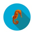 Cool flat seahorse icon