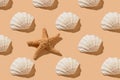 Flat semicircular sea shell and starfish on a beige background Royalty Free Stock Photo