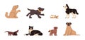 Flat set of various dog breeds and sizes