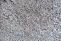 Shagreen concrete flat wall texture and background Royalty Free Stock Photo