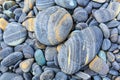 Flat shiny stones on the beach.