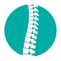 Flat spine icon for orthopedic therapy, diagnostic center.