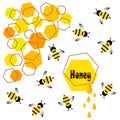 In flat style bee, wasp, honey. Illustration card with text.