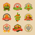 Flat style of bio organic eco healthy food label logo template and vintage vegan farm element in orange green color