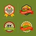 Flat style of bio organic eco healthy food label logo template and vintage vegan farm element in orange green color