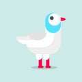 Flat style bird Seagull isolated on background. Vector illustration of bird Cartoon Gull for your journal article or