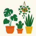 different types of houseplants in pots Royalty Free Stock Photo