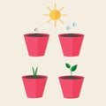 Flat style farm garden vector set Royalty Free Stock Photo