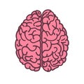 Flat style human brain illustration Royalty Free Stock Photo