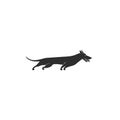 Flat style icon of female dachshund. Cute family dog. Simple silhouette pictogram for different design