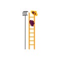 Flat style icon of garden equipment for picking olives. Ladder, gloves, rake.