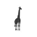 Flat style icon of giraffe. Simple silhouette pictogram