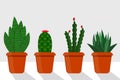 Flat style room plants in pots, illustration. Cactus, sansevieriya, disocactus. Royalty Free Stock Photo