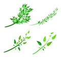 Flat style vector illustration for drawing shrubs, trees, seedlings.