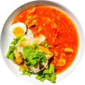 Flat Thick noodles with chicken and boiled egg served with tomato gravy sauce in round plate isolated on white background.