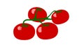 Flat tomato branch isolated on white background.Tomato icon