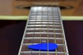 Flat Top Guitar Fret Board Royalty Free Stock Photo