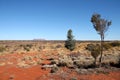 Distant view towards Mount Conner with trees and vegetation in Australia