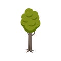 Flat Tree Icon