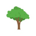 Flat tree icon illustration. Trees forest simple plant silhouette icon. Nature oak organic set design Royalty Free Stock Photo