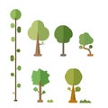 Flat trees vector set with bush and isolated Royalty Free Stock Photo