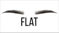 Flat Trendy Vector Hand Drawn Brows Shape