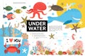 Flat Underwater Life Infographic Template