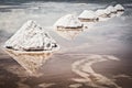 Flat uyuni salt and desert , infinite mirror and water